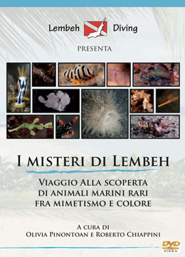 I misteri di Lembeh - Vol. I - 2013