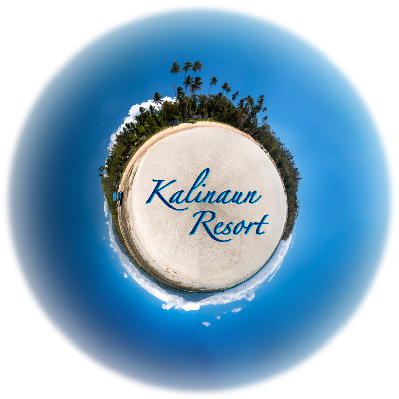 Kalinaun resort - Diving in Lembeh